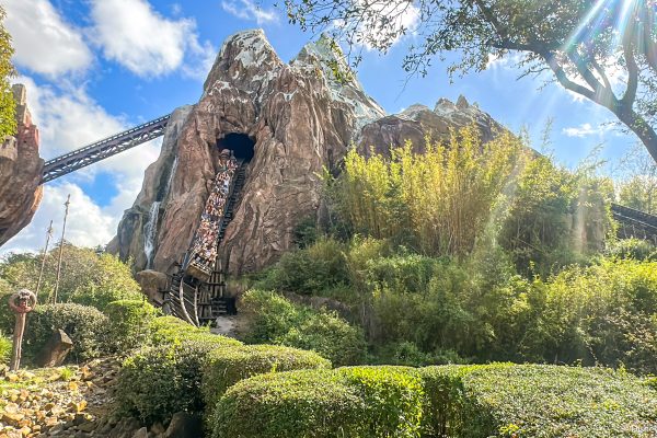 Disney Files NEW Permit That Could Change Park Rides Forever