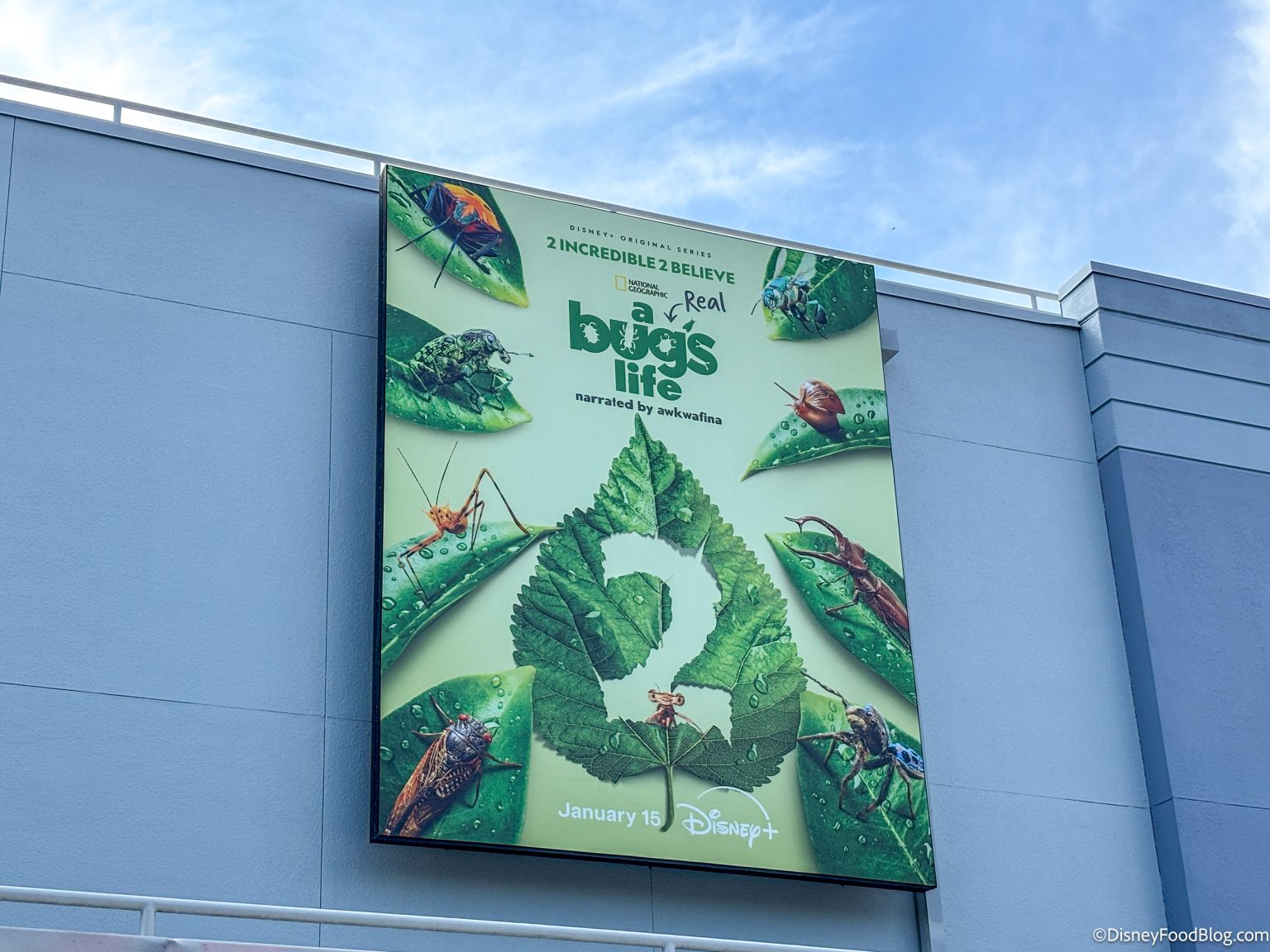 Disney+ Quietly Updates Subscriber Rules — Here’s How It Will Impact ...