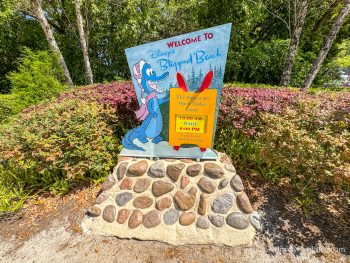Typhoon Lagoon vs. Blizzard Beach — Disney World Water Parks Showdown