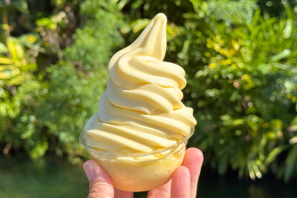 I Reviewed Our 7 Favorite Snacks in Magic Kingdom