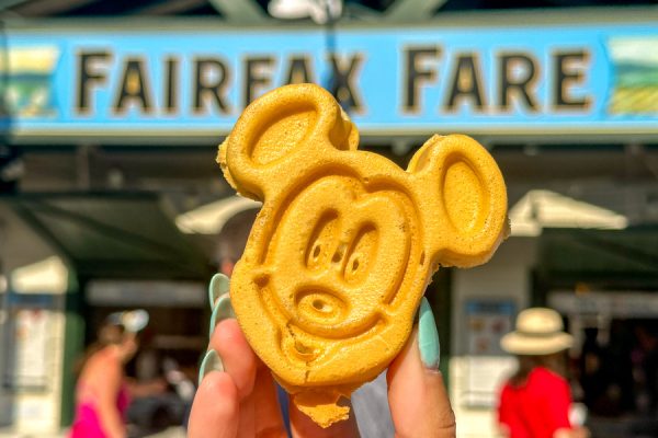 NEW Change Hits Disney World Website