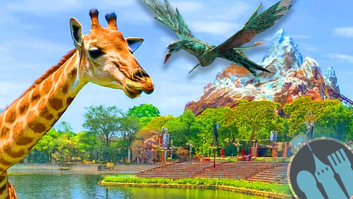 DFB Video: EXCLUSIVE Tips For EVERY SINGLE Animal Kingdom Ride | the ...
