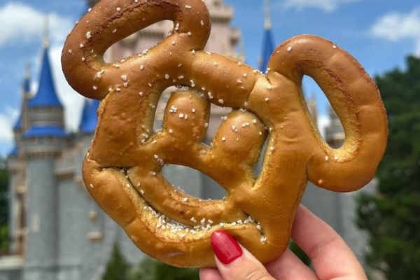 HEADS UP! Thousands of Disney World Price Increases Are Likely Coming Soon