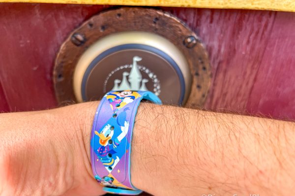 The Amazon MagicBand Add-Ons Disney Adults Never Leave Without