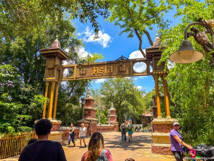 2025-wdw-dak-atmo-asia-sign-entrance-700