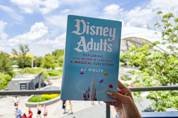 5 Fun, Random Disney Things To Buy For Yourself