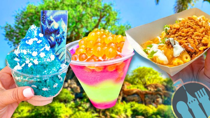 DFB Video: Exclusive Snacks in Animal Kingdom | the disney food blog