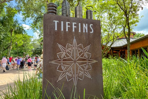 Okay, We’re Never Not Going to Celebrate New Cake in Disney World