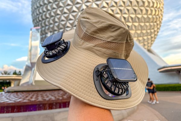 This Is the Ugliest Thing I’ve Ever Worn in Disney World — I’d Recommend It to Everyone