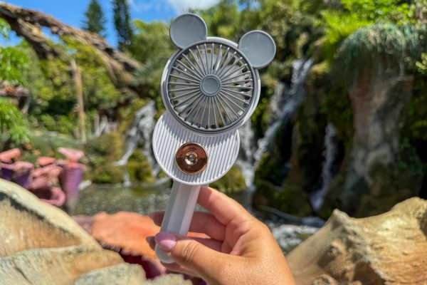 This $13 Essential Solves a Huge Problem in Disney World