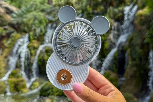 5 Things I Will NEVER Buy Anymore in the Magic Kingdom
