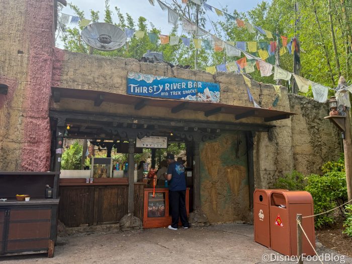 2025-wdw-dak-asia-trek-snacks-atmo-2-700