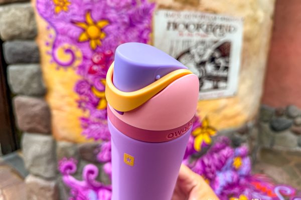 As a Disney Mom, This is What I Actually Want for Mother’s Day