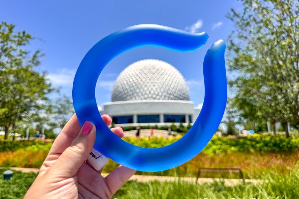5 “Embarrassing” Disney Park Items That Actually Work