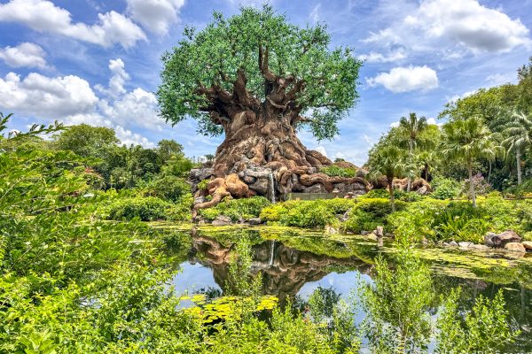 Disney World Announces Virtual Queue Returning For NEW Attraction Opening