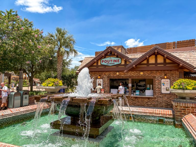 REVIEW: This Is the Best Poutine in Disney World — and It's Not Where ...