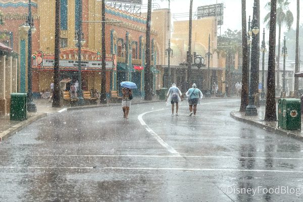 The $13 Poncho Every Disney Adult Is Secretly Packing Before Every Trip