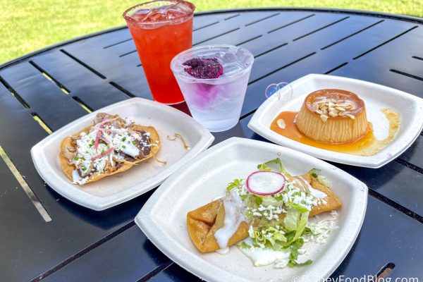 We Know When EPCOT Food & Wine Festival MENUS Will Drop