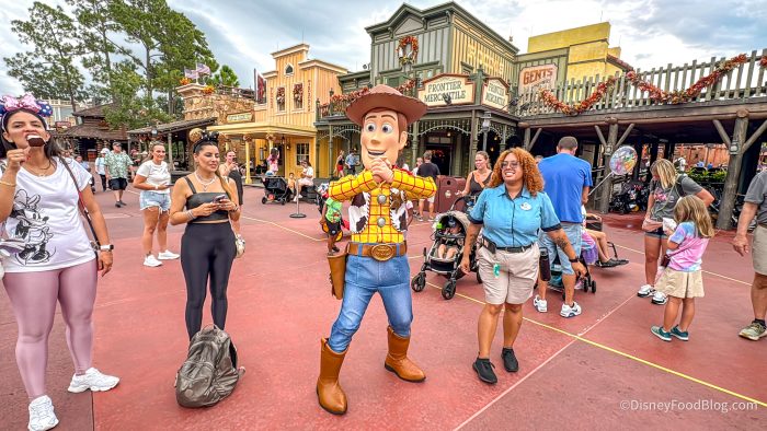 2025-WDW-magic-kingdom-frontierland-wood