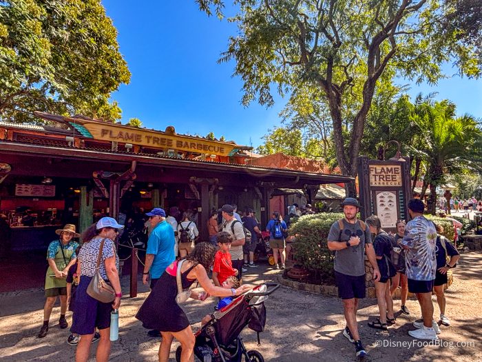 2025-WDW-animal-kingdom-flame-tree-barbe