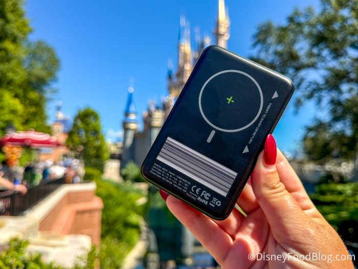 DFB-FuelRod-Max-10-Partners-Affiliates-P