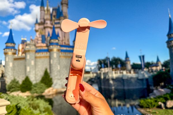 4 Mega Inexpensive Amazon Finds That Absolutely Save the Day in Disney World