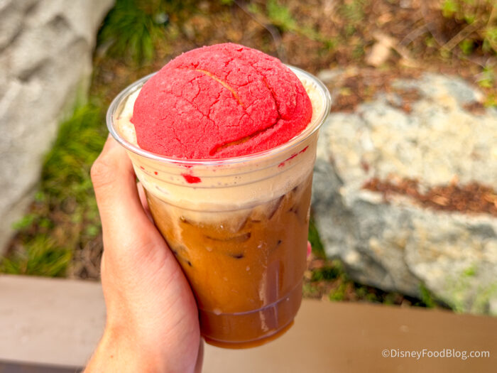 2025-DLR-DCA-festival-of-holidays-grandm