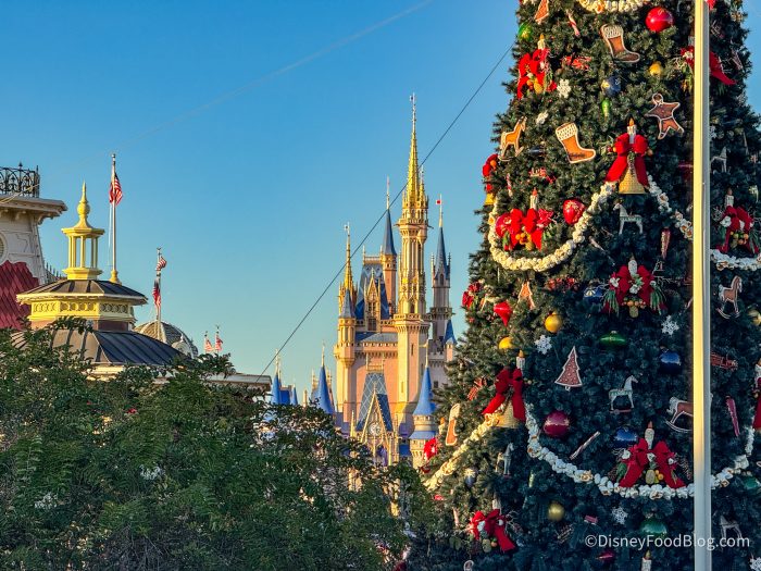 2025-WDW-magic-kingdom-main-street-usa-c