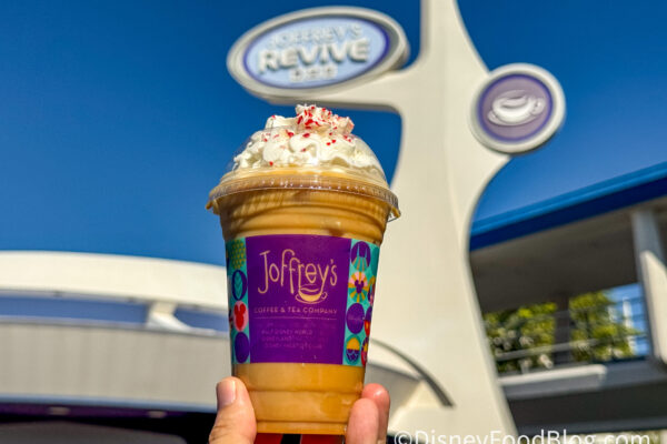 Ignore the Haters and Do This First in Magic Kingdom