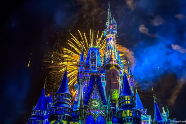 This Disney World Park Essential Will Make Your Trip 10x BETTER