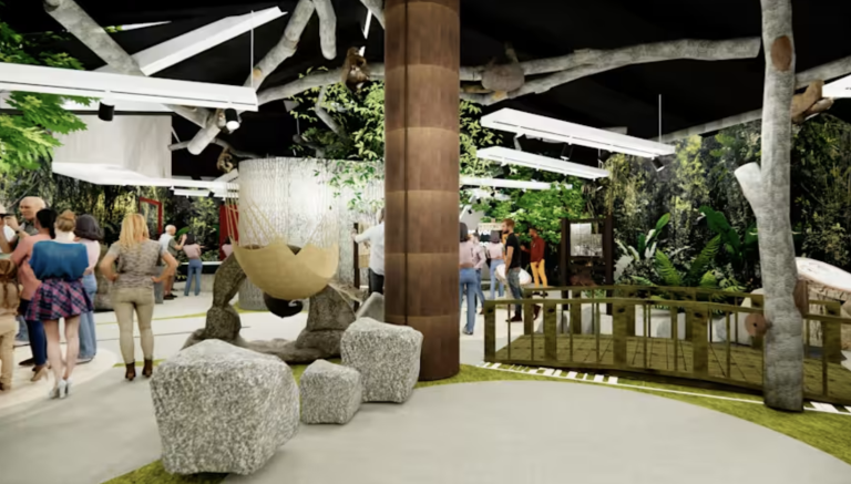 An Ultra-Immersive Sloth Habitat is Opening Near Disney World in 2026 ...