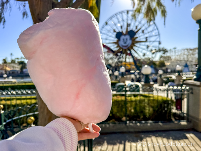 2026-dlr-dca-outdoor-vending-watermelon-