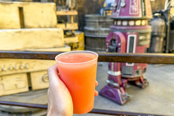 Ranking All the Milks in Star Wars: Galaxy’s Edge from Refreshing to…Outright Confusing