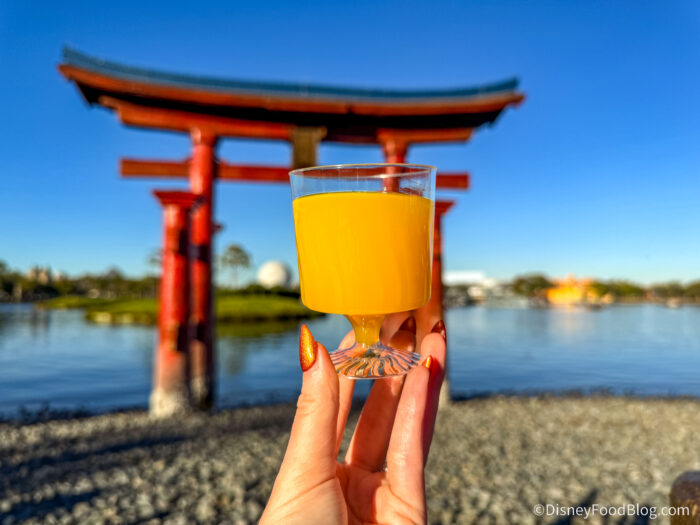 DFB-Yuzu-Pineapple-Punch-Goshiki-Booths-