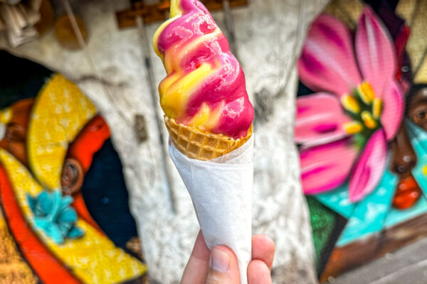 I’ve Tried Every DOLE Whip in Disney World, and I’m Sharing My 3 Favorites