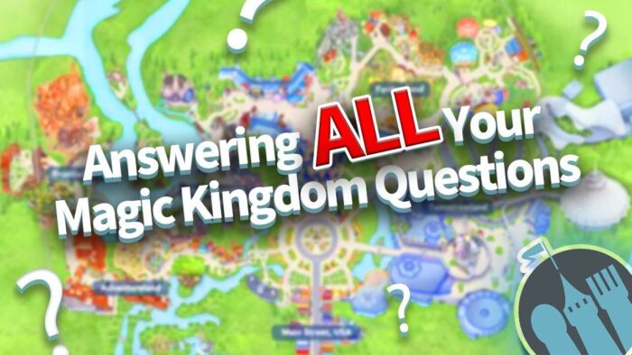 DFB Video: Answering ALL Your Questions About Magic Kingdom | the ...