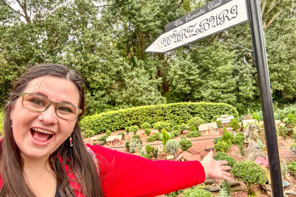 A Wedding Fistfight and Cows on Allergy Medicine — EPCOT’s Tiny Train Town Has the DRAMA This Week