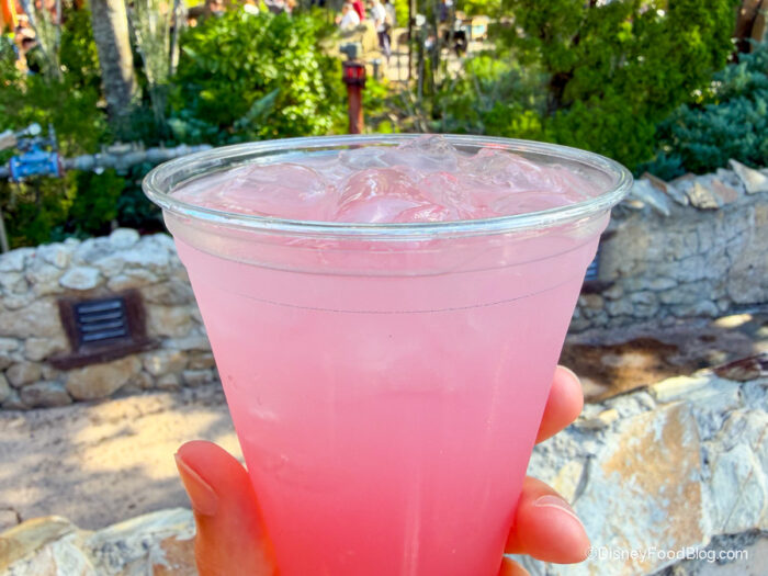 2025-wdw-dak-thirsty-river-bar-and-trek-