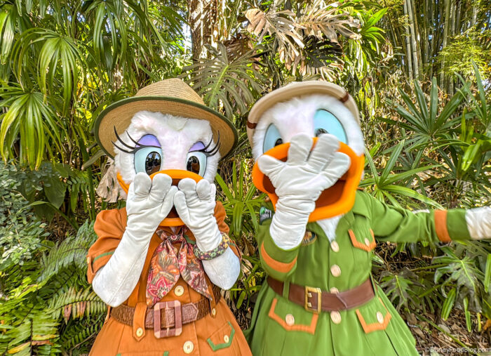 Disney World Visitors Share Common Trip Regrets and Planning Advice