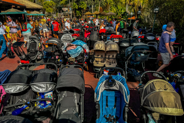 5 Baby Essentials Every Parent Needs in Disney World