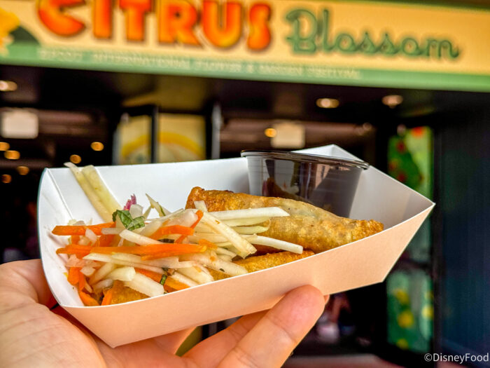 DFB-Lumpia-with-plant-based-pork-Citrus-