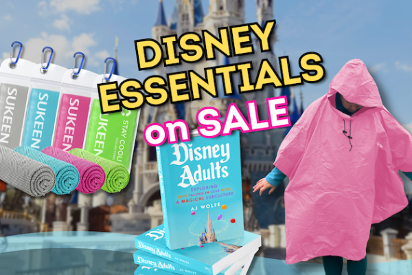 Our Favorite Disney World Essentials Are On Sale On Amazon Today