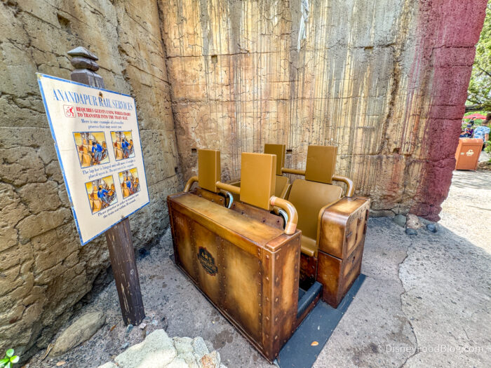 2026-WDW-animal-kingdom-expedition-evere