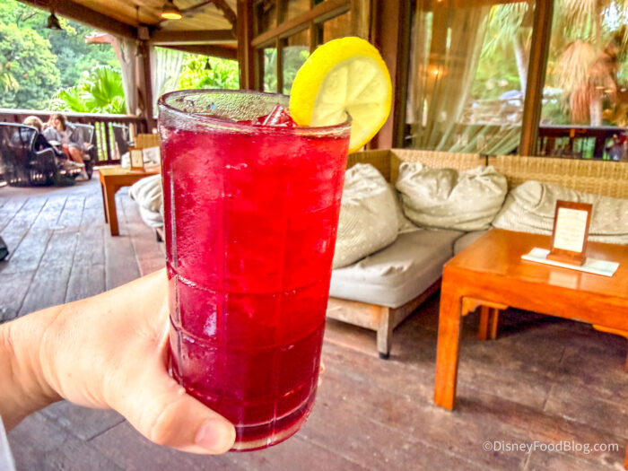2026-WDW-animal-kingdom-nomad-lounge-Dal