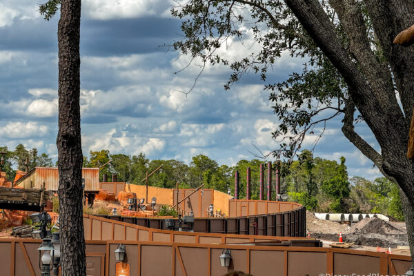 6 Disney World Rides Will Be Closed for Refurbishment in May 2026