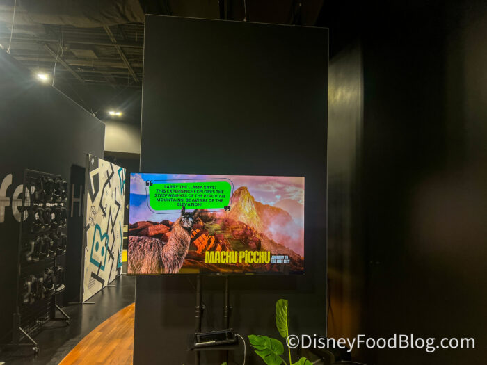 2026-vr-experience-machu-picchu-4-700x52