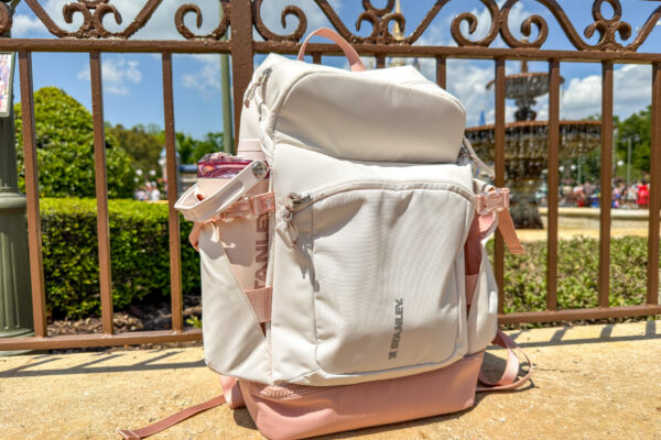 This Disney World Park Upgrade Costs $110 But Is Totally Worth It