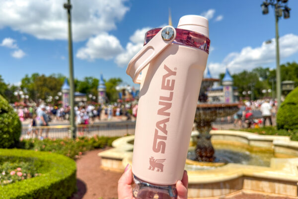 The Weird Snack I Always Bring to Disney World