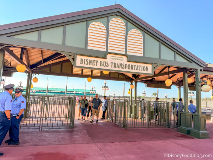 DFB-_-Entrance-_-Magic-Kingdom-_-Disney-