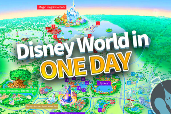 DFB Video: How to Do Disney World in ONE DAY